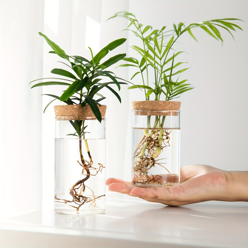 Plant Growth Regulator - 1 buah, tanaman hidroponik Desktop vas