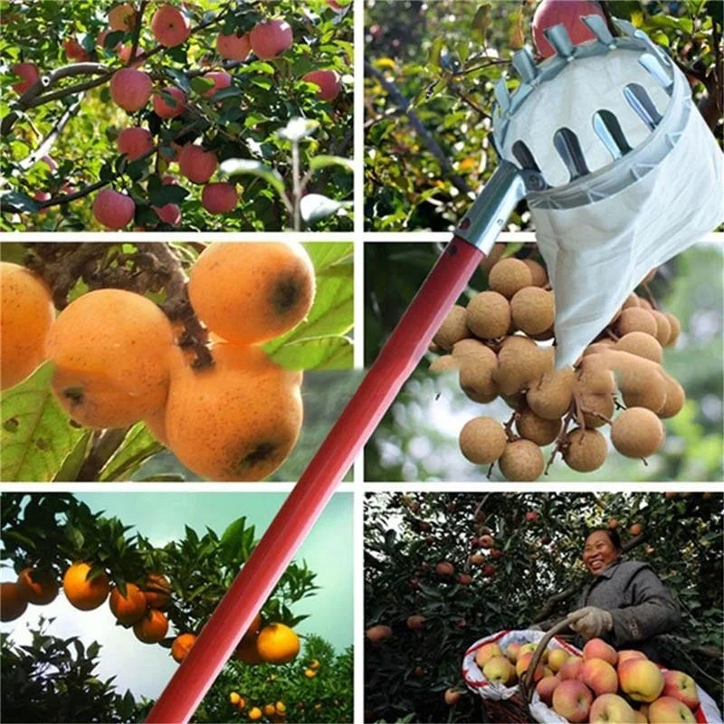 Farming Tools For Agriculture - Alat Pemetik Buah Kebun, Kebun Buah