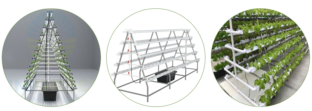 Sistem Hidroponik Vertikal MIN - Hydroponic Nft Channel ulasan dan harga