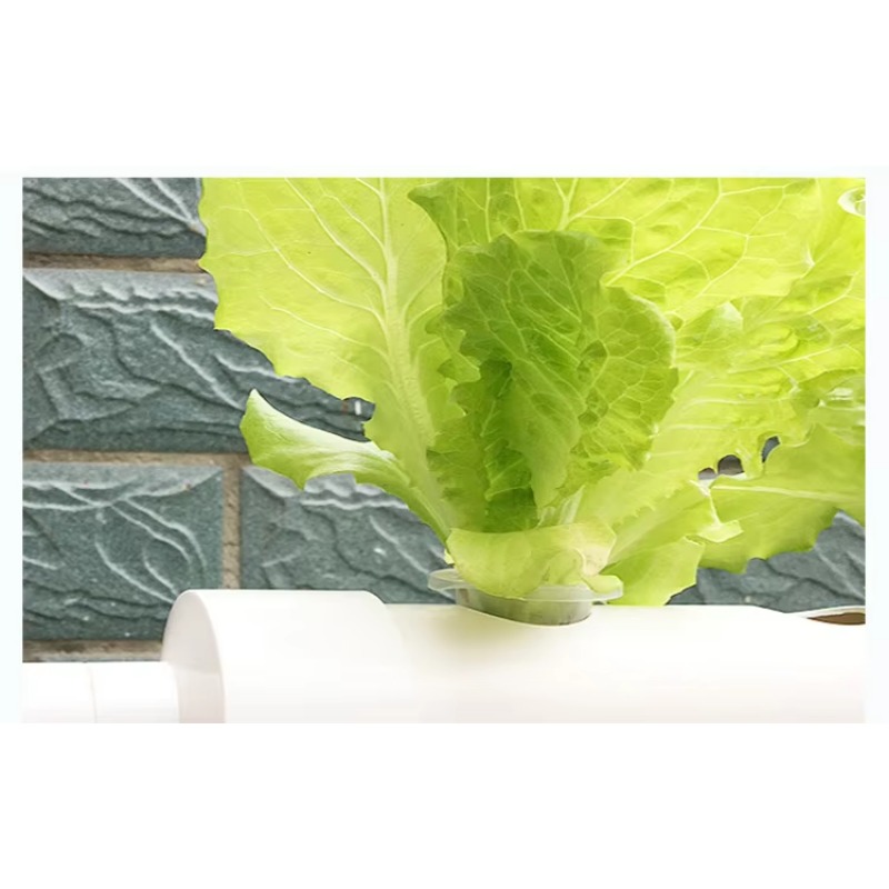 Instalasi Mudah 36 Lubang Salu - Hydroponic Nft Channel ulasan dan harga
