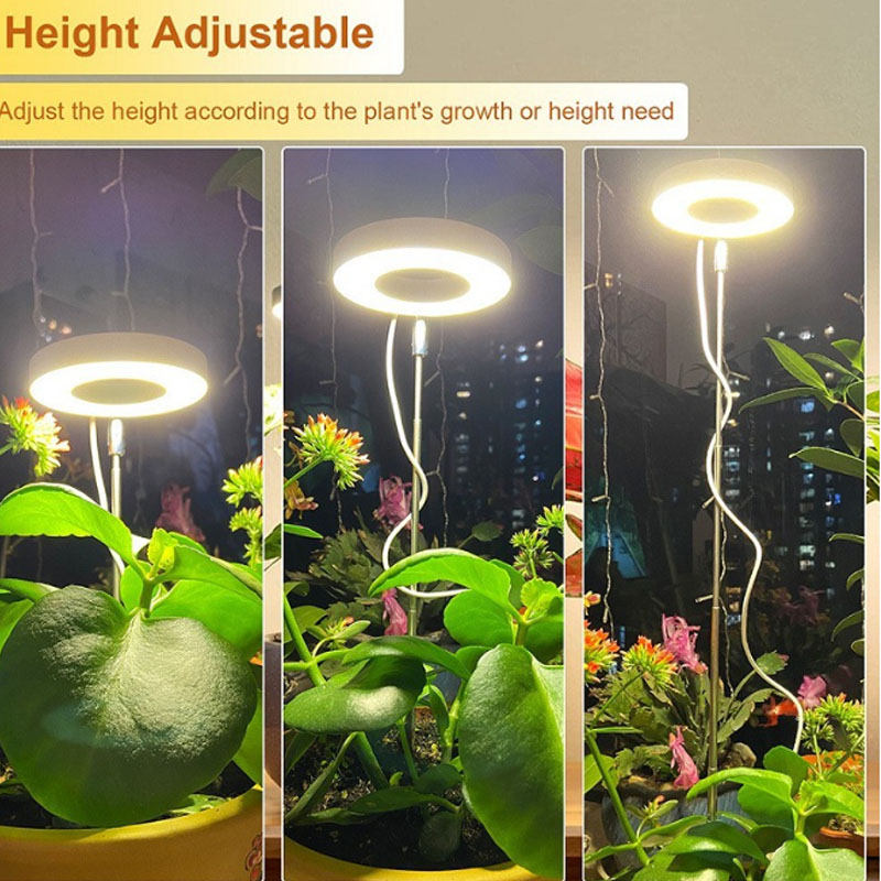 Lampu tumbuh LED spektrum penu - Plant Growth Regulator ulasan dan harga