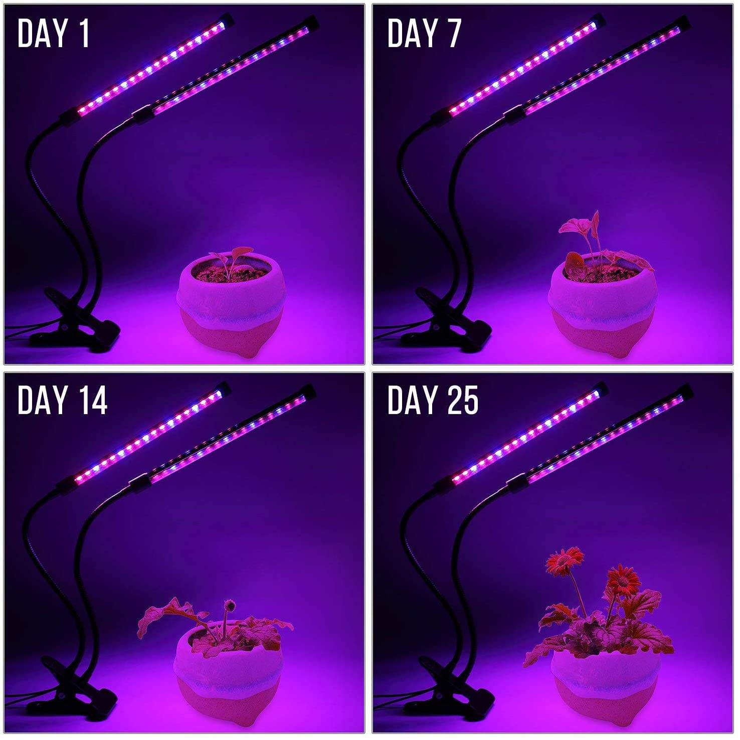 Lampu tumbuh tanaman LED USB d - Plant Growth Regulator ulasan dan harga