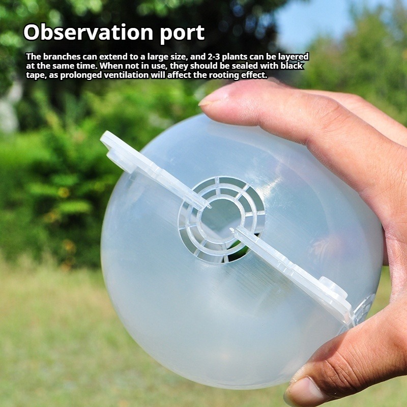 10pcs Kit Perbanyakan Tanaman: - Plant Growth Regulator ulasan dan harga