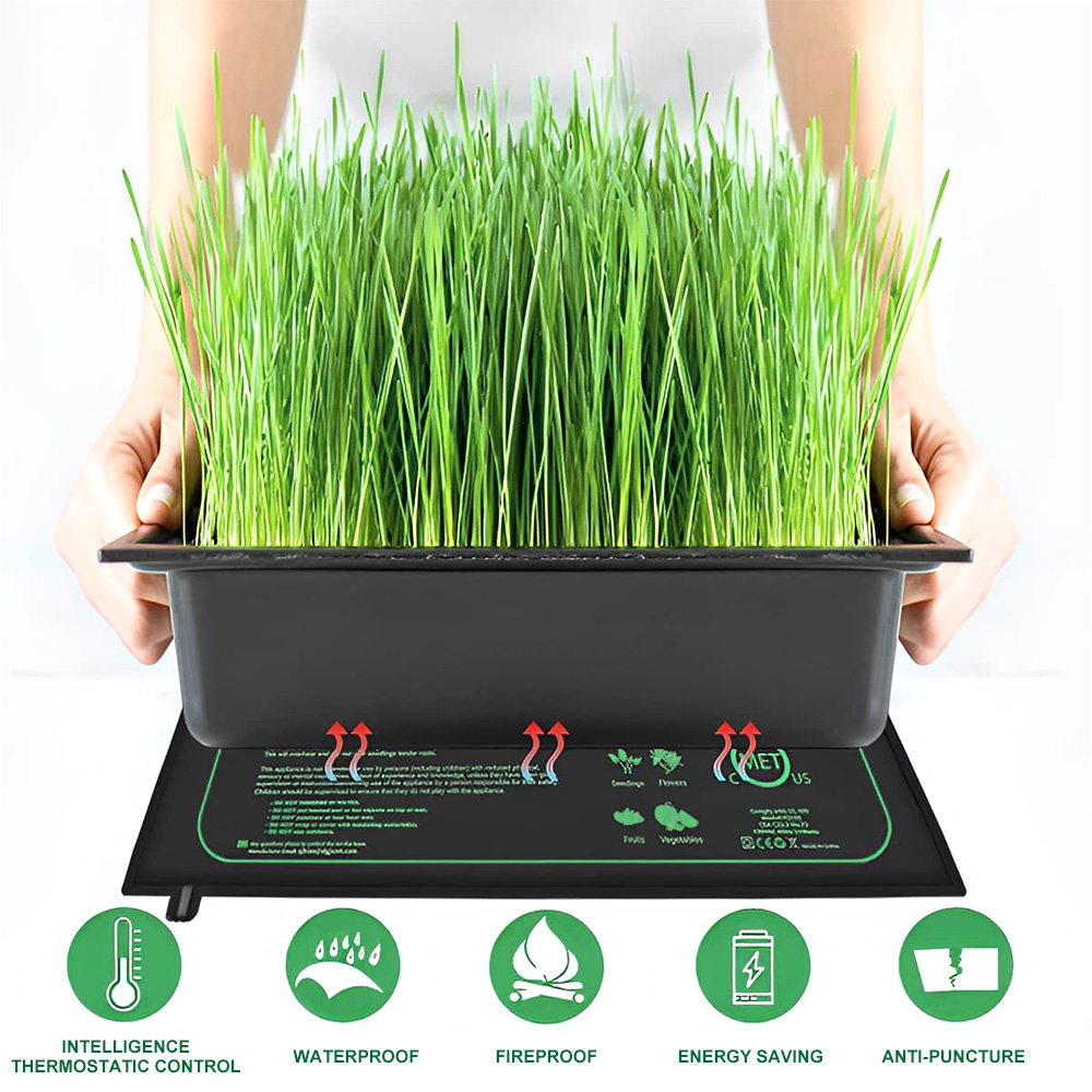 10/25/50CM alas panas bibit ta - Plant Growth Regulator ulasan dan harga