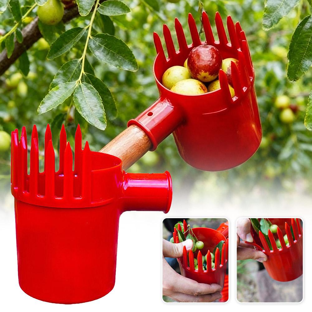 Alat Pemetik Buah Portabel den - Farming Tools For Agriculture ulasan dan harga