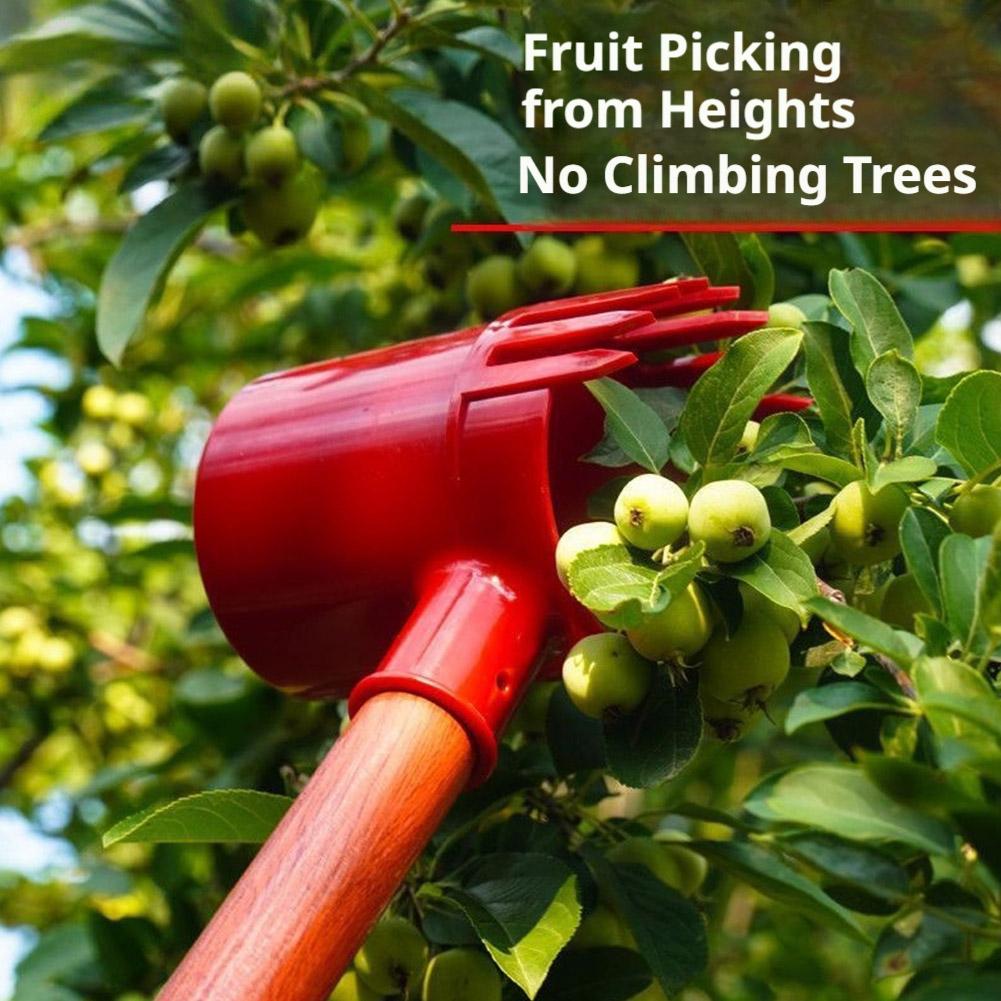 Alat Pemetik Buah Portabel, As - Farming Tools For Agriculture ulasan dan harga
