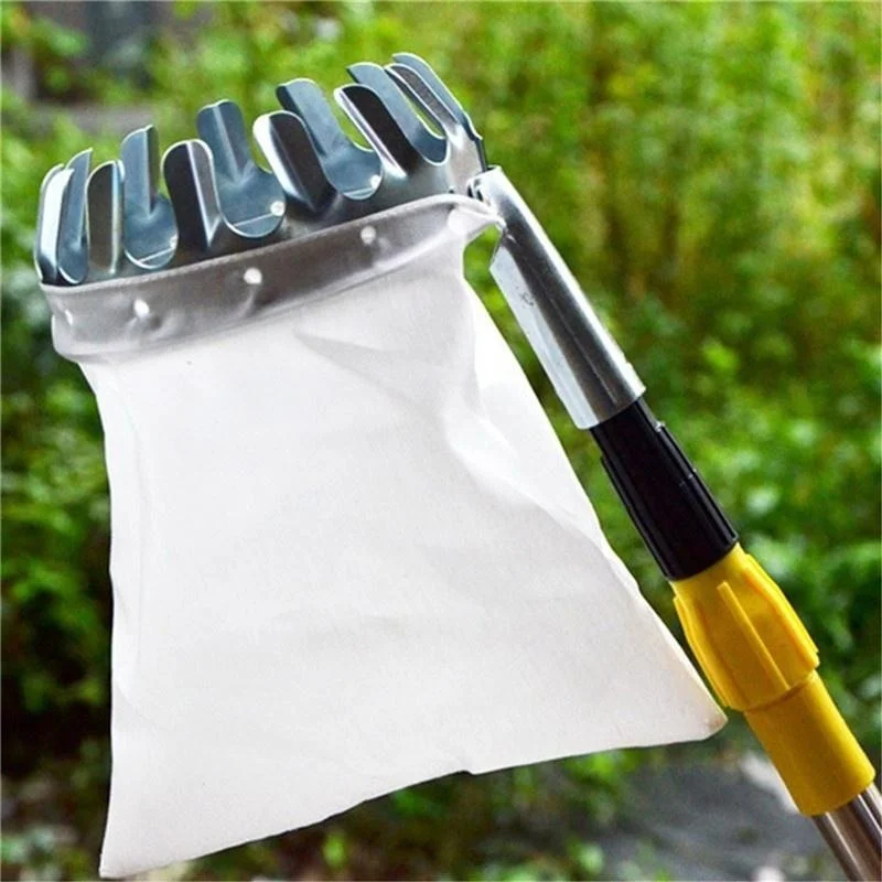 Alat Pemetik Buah Kebun, Kebun - Farming Tools For Agriculture ulasan dan harga
