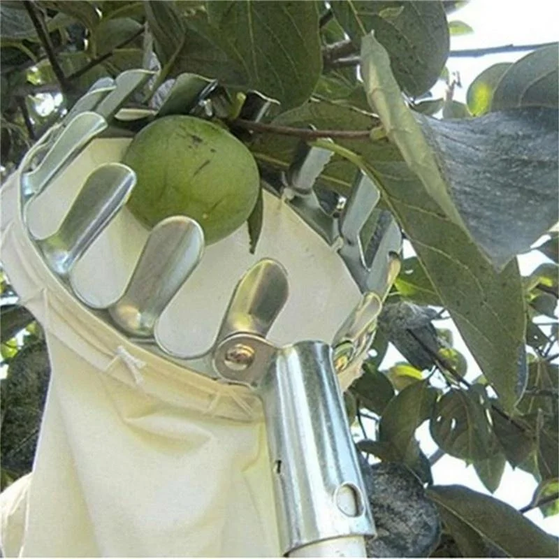 Alat Pemetik Buah Kebun, Kebun - Farming Tools For Agriculture ulasan dan harga