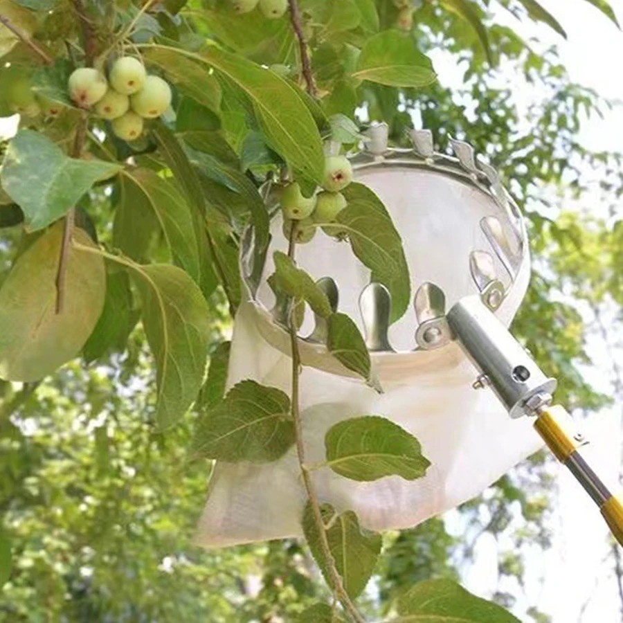 Alat Pemetik Buah Profesional, - Farming Tools For Agriculture ulasan dan harga