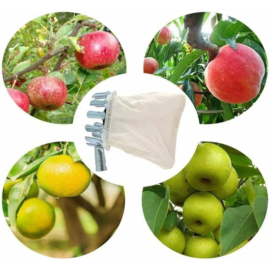 Alat Pemetik Buah Profesional, - Farming Tools For Agriculture ulasan dan harga