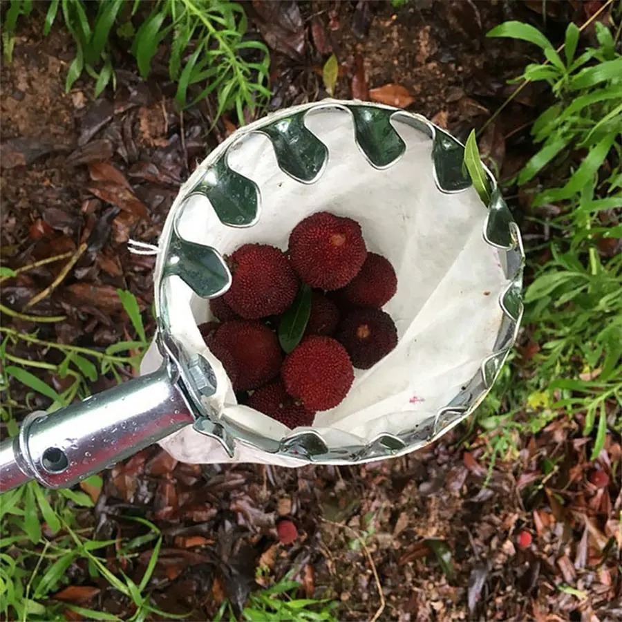 Alat Pemetik Buah Profesional, - Farming Tools For Agriculture ulasan dan harga