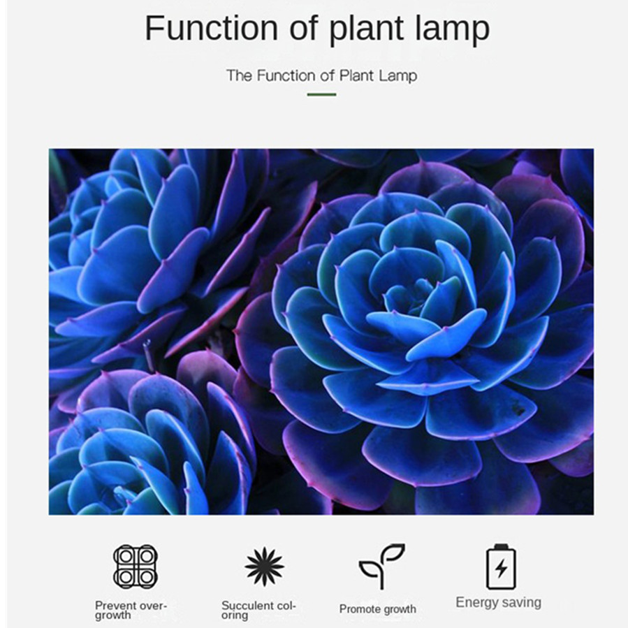 Lampu Tumbuh Tanaman LED PwwQm - Plant Growth Regulator ulasan dan harga