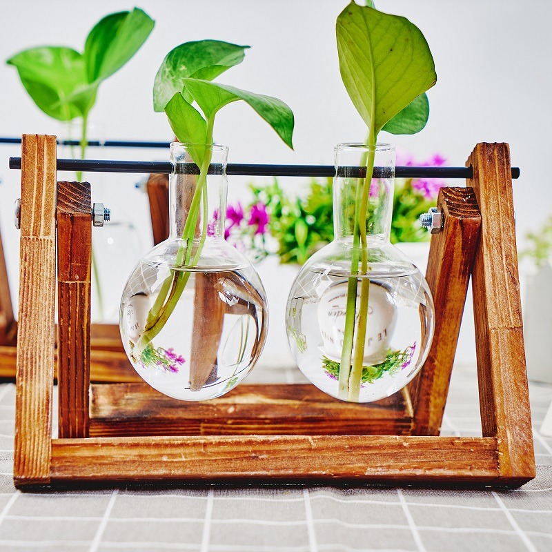 Vas tanaman hidroponik, vas ta - Plant Growth Regulator ulasan dan harga