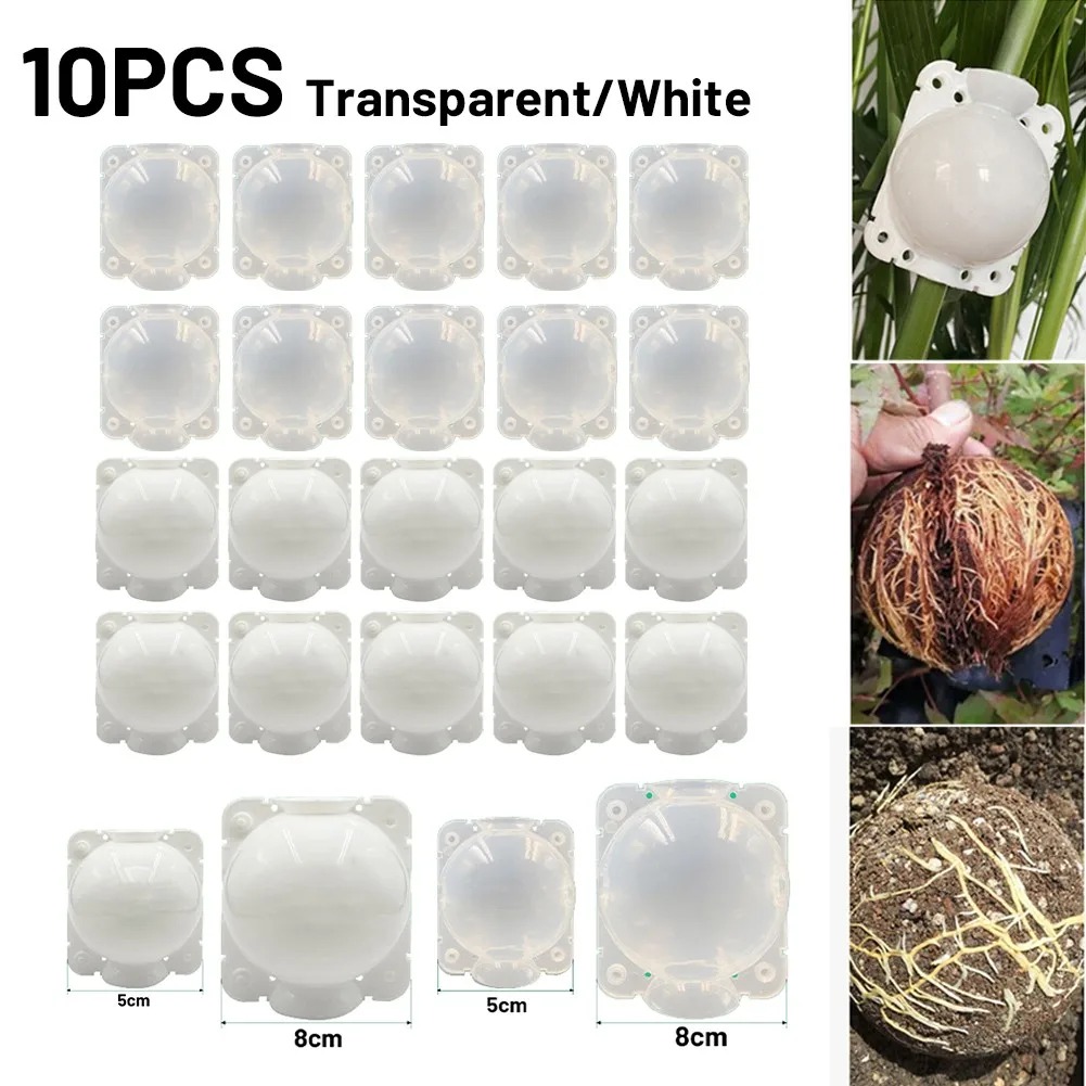 10 Buah 5/8/12Cm Kotak Tumbuh  - Plant Growth Regulator ulasan dan harga