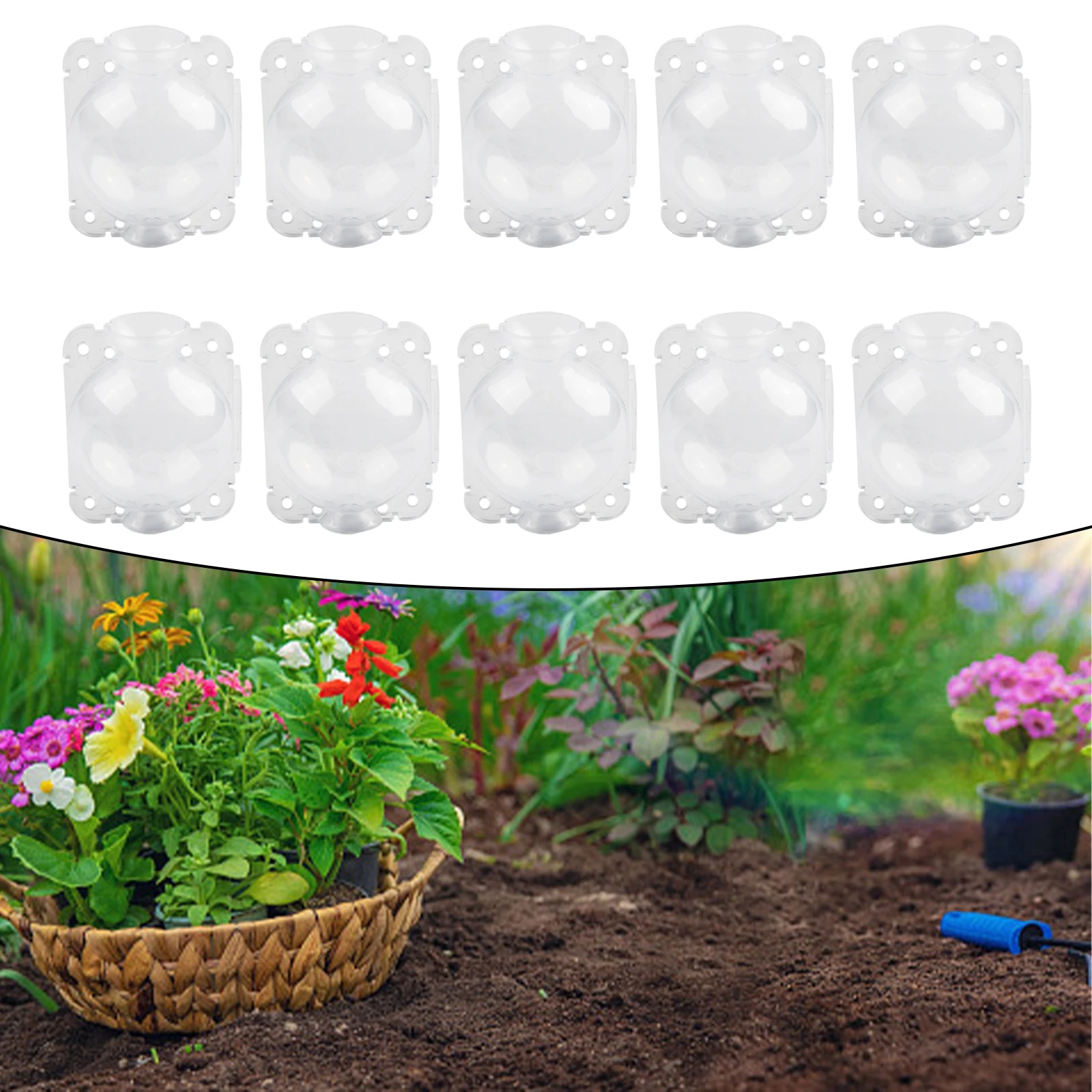 10 Buah 5/8/12Cm Kotak Tumbuh  - Plant Growth Regulator ulasan dan harga